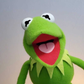 Profile image of #KermitFanFrog