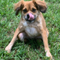 Profile image of Tilly Bean