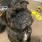 Profile image of FRUG(Ryan)
