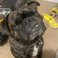 Profile image of FRUG(Ryan)