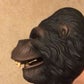 Profile image of Ape puppet