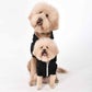 Profile image of Puppy Named Charlie and Sawyer Saurus