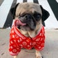 Profile image of Pee Wee Aloysius the Pug