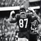 Profile image of Darren Fells