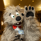 Profile image of Bando the Bear