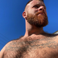 Profile image of ThatBeardGuy26