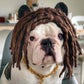 Profile image of Mr.Zeus.Almighty