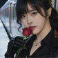 Profile image of shamy wang