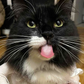 Profile image of Nelly (ms.nellsbells)