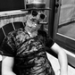 Profile image of Ed Skeen