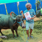 Profile image of Indian Buffalo Man