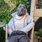 Profile image of Mist_The_CaneCorso