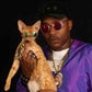 Profile image of iAmMoshow The Cat Rapper