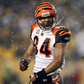 Profile image of TJ Houshmandzadeh