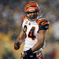 Profile image of TJ Houshmandzadeh