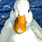 Profile image of Wobbles and Bean