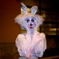 Profile image of Loris Queen