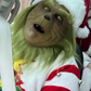 Profile image of The Grouch