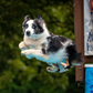 Profile image of Merlin the Aussie