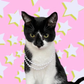 Profile image of ivy
