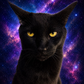 Profile image of Lord Vadermort the Black Cat