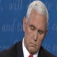 Profile image of The Fly On Mike Pence’s Head