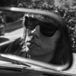 Profile image of Luke Spiller