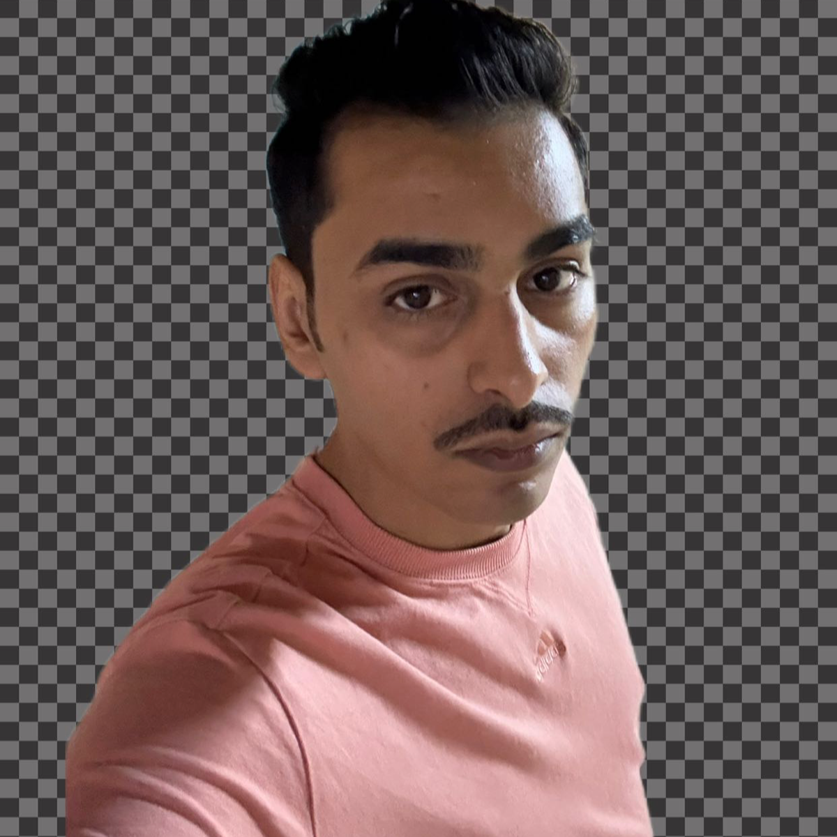 الذيب