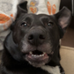 Profile image of maddy