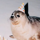 Profile image of Chez