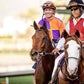 Profile image of Gary Stevens
