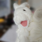 Profile image of Lucy the Rabbit