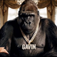 Profile image of Gavin Gorilla
