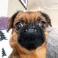 Profile image of Ernie