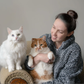 Profile image of Bean, Lily & Cassidy