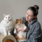Profile image of Bean, Lily & Cassidy
