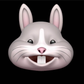 Profile image of Jack The Rabbit