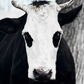 Profile image of offlain