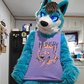 Profile image of Nakomis The Wolf