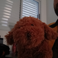 Profile image of treen secs