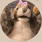 Profile image of Nibsy_Official