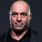 Profile image of Joe Rogan Parody