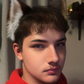 Profile image of Mystical Furry Tarot