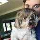 Profile image of Shelby Fero