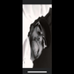 Profile image of Brian Btoe