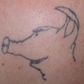 Profile image of Cornmanpig