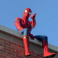Profile image of Spider-Man