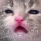 Profile image of PepperTheCat