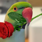 Profile image of Pancho & Co