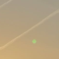 Profile image of Ella